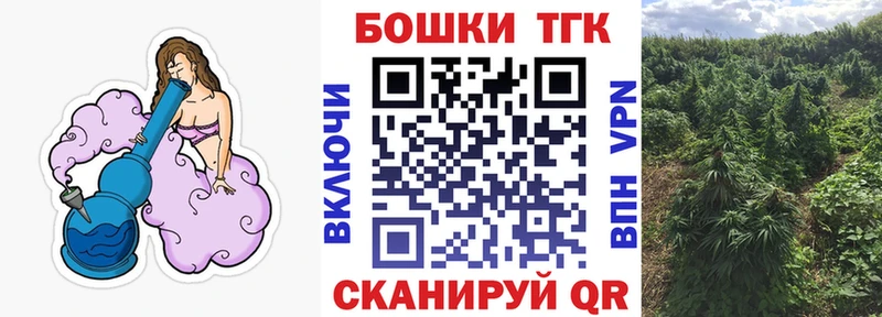 Конопля OG Kush  Агрыз 